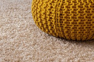 Dry Cleaning Carpets