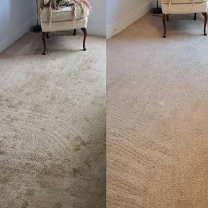 Brisbane Carpet Cleaners Service
