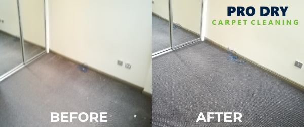 Carpet Shampooing Brisbane Service