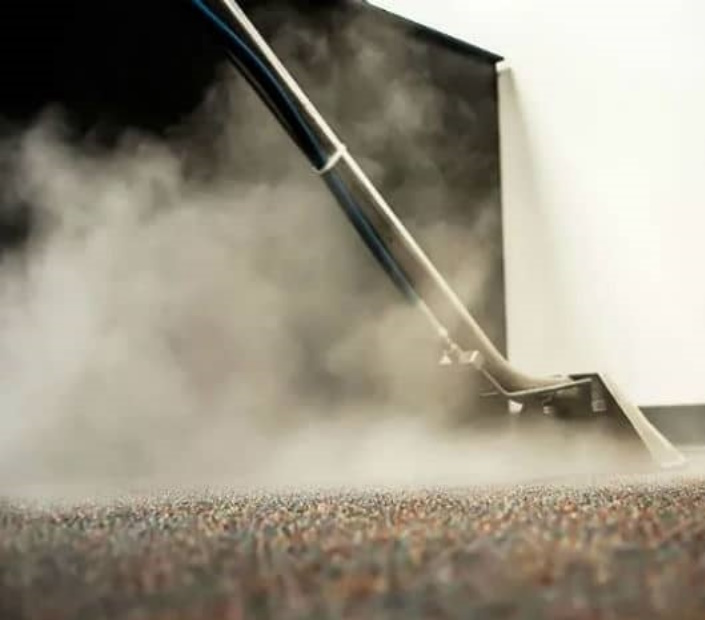 Carpet Cleaning to Kill Carpet Beetles