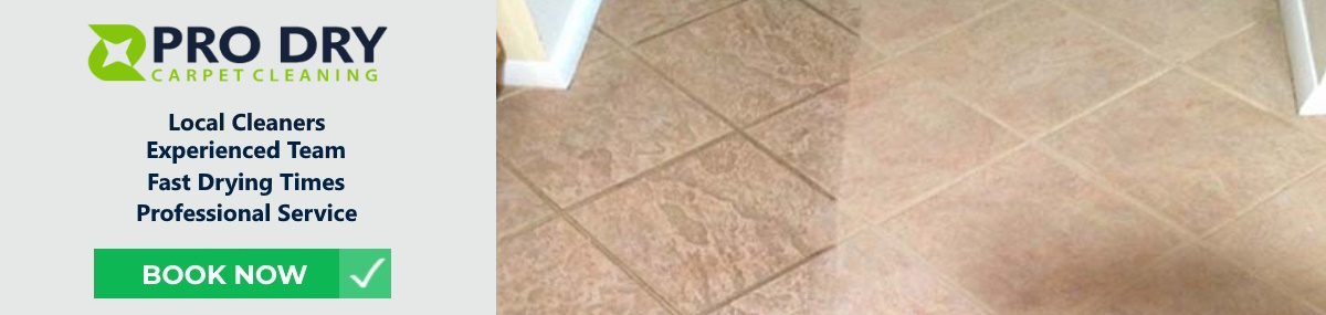 PRO DRY Brisbane Tile and Grout Cleaning