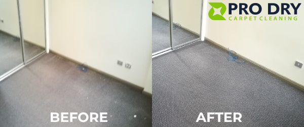 VLM Carpet Cleaning Brisbane