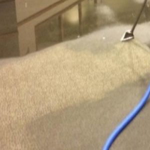 Brisbane Carpet Water Damage